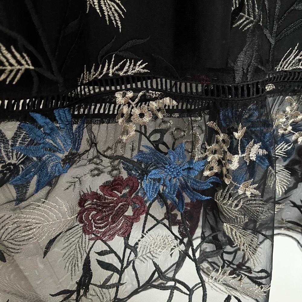 BB Dakota black embroidered cocktail dress with sheer hem. Worn once. - Picture 5 of 6